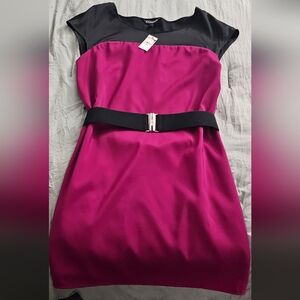 Express pink Dress